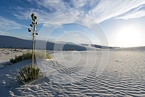 White Sands