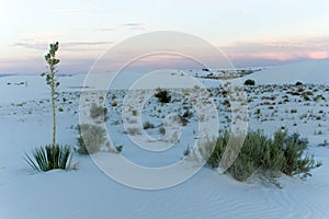 White Sands