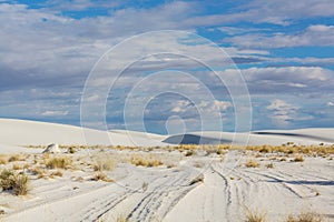 White sands