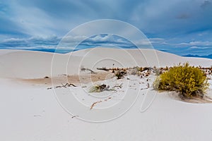 The White Sands Desert Dunes of White Sands Monument National Park