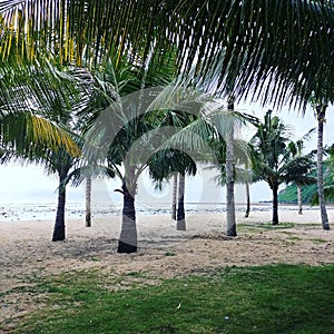 White sands at Maluk Beach photo