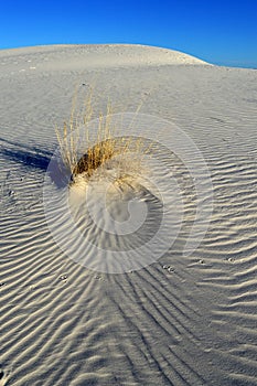 White Sands Monument National Monument, New Mexico