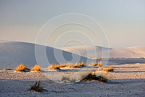 The White Sands Nat. Park. photo