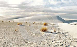 White Sands National Monument