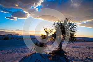 White Sands National Monument