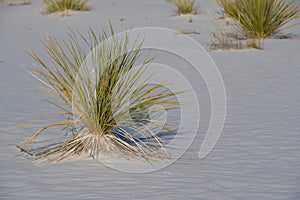 White Sands National Monument