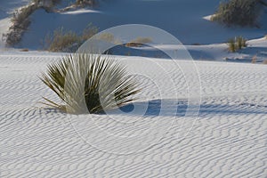 White Sands National Monument