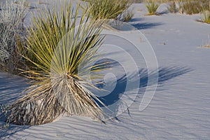 White Sands National Monument