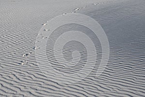 White Sands National Monument