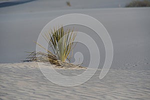 White Sands National Monument