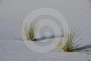 White Sands National Monument