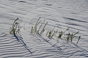 White Sands National Monument