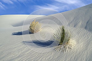 White Sands National Monument