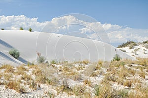 White Sands National Monument