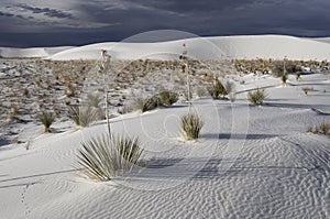 White Sands National Monument