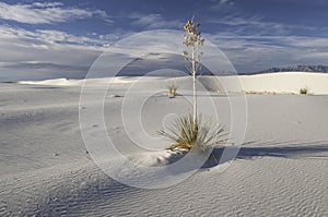 White Sands National Monument