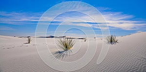 White sands national monument with desert dunes