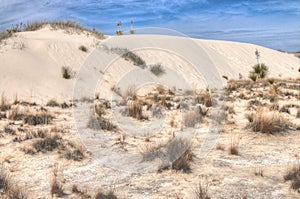 White Sands National Monument is Located in New Mexico and is On