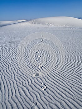 White Sands National Monument in New Mexico