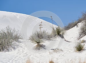 White Sands National Monument in New Mexico