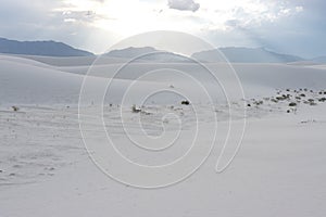 White Sands National Monument and Park in White Sands, New Mexico,