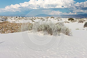 White Sands National Monument and Park in White Sands, New Mexico,