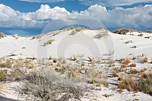 White Sands National Monument and Park in White Sands, New Mexico,