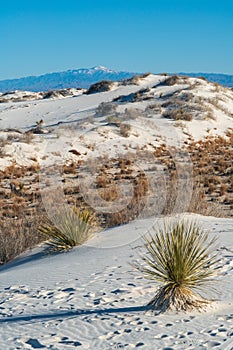 White Sands National Park in New Mexico