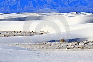 White Sands National Park in New Mexico,