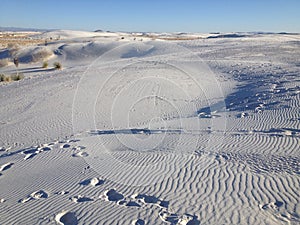 White Sands National Park in New Mexico Landscape