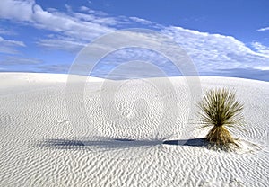 White Sands National Park in New Mexico photo