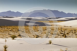 White Sands New Mexico photo