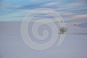 White Sands New Mexico