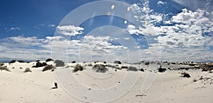 White sands in New Mexico