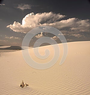 White Sands New Mexico USA