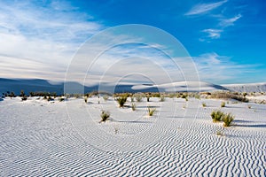 White Sands, Sand Dunes, Desert Nature and Landscape