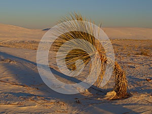 White Sands Sunset