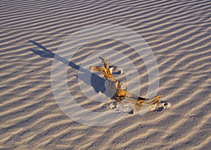 White Sands Sunset near Alamogordo, New Mexico