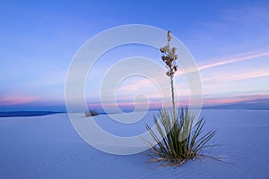 White Sands in Twilight