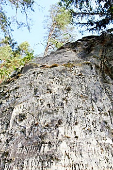 White sandstone outcrops