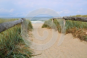 A white sandy beach with green grass in Darlowko, Poland