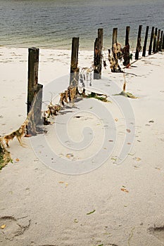 White sandy beach Morar, Scotland photo