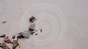 On the white sandy beach by the sea, there are creatures, rocks, fragments of branches