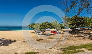 A white sandy beach shaded by trees in Bridgetown, Barbados