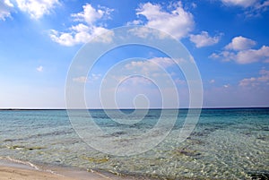 white sandy beach in summer