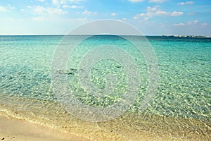 white sandy beach in summer