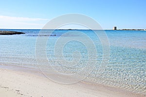 white sandy beach in summer