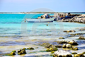 white sandy beach in summer