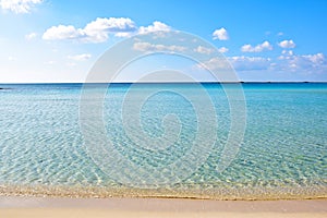 white sandy beach in summer