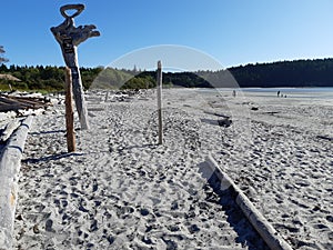 White sandy beach on Tribune beach bay on Hornby island